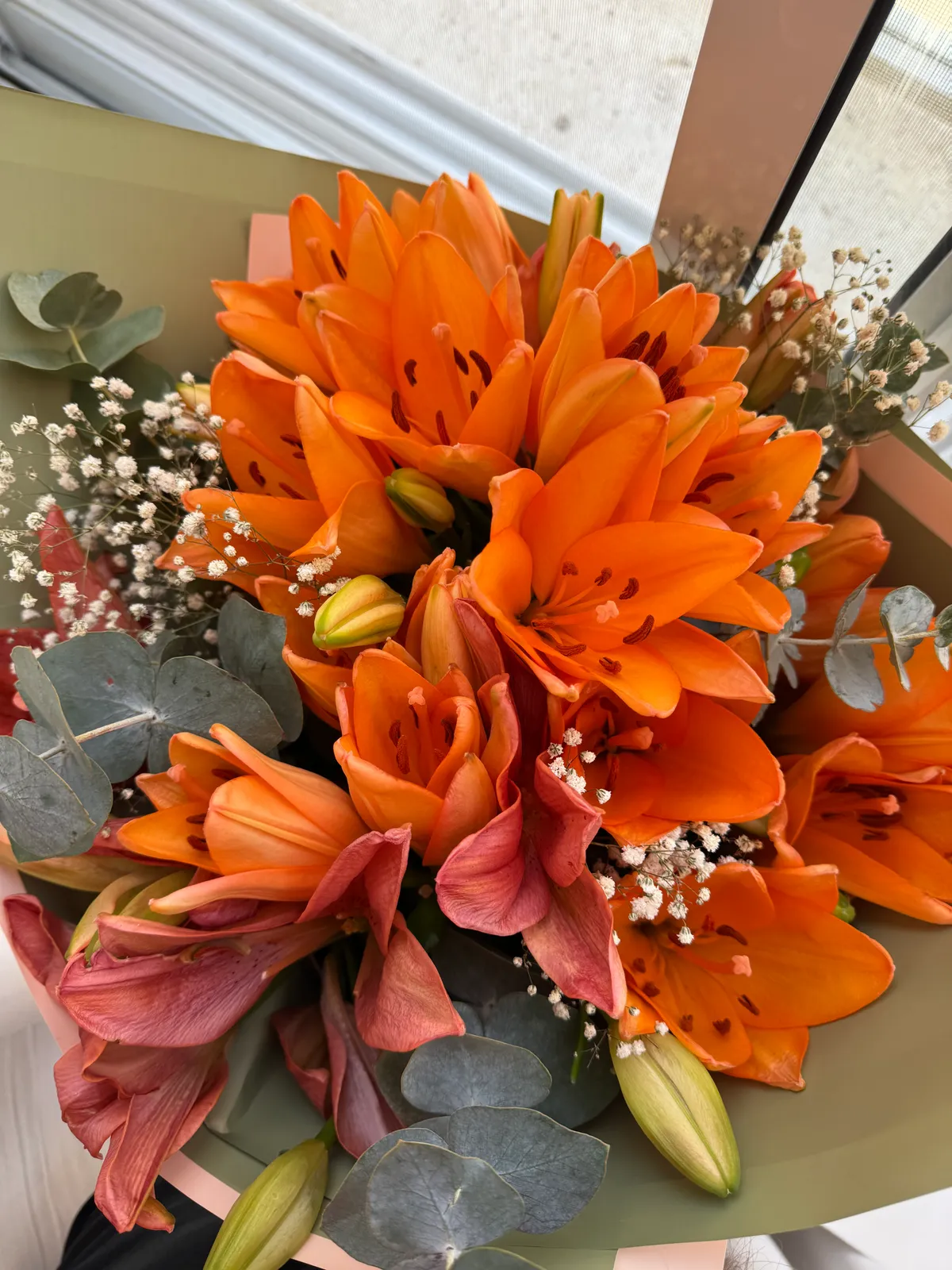 Orange Asiatic Lily
