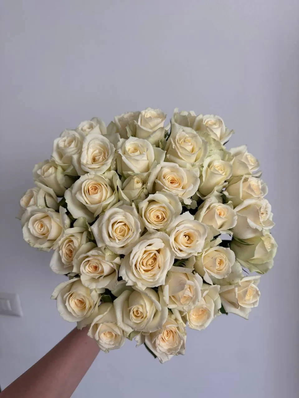 White Cloud Romance