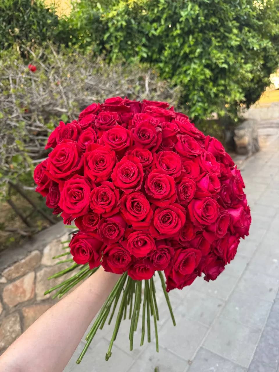 The Ultimate Love: 101 Red Roses